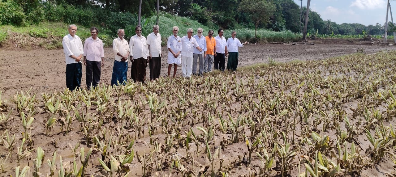 EPCD News – Real-Time Updates on Telangana Breaking News and AP Headlines,News Image